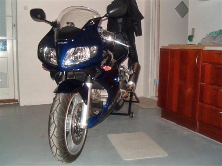 Suzuki sv1000 billede 3