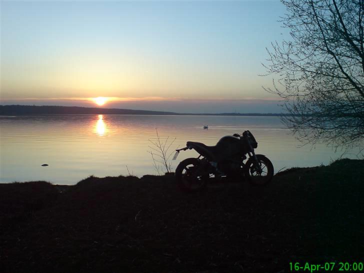Buell [Corner-Cruiser] xb12s - en perfekt solnedgang en forårsaften ved furresøen billede 2