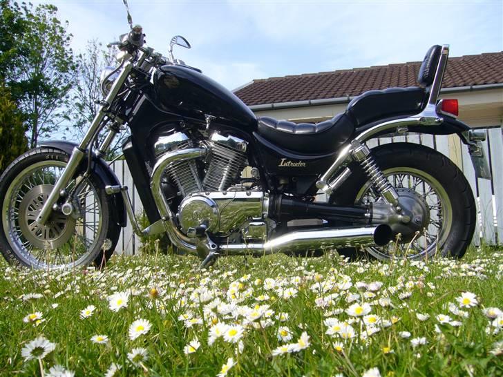 Suzuki VS700 Intruder billede 4