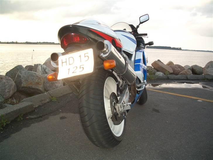 Suzuki TL 1000R   (solgt) billede 10