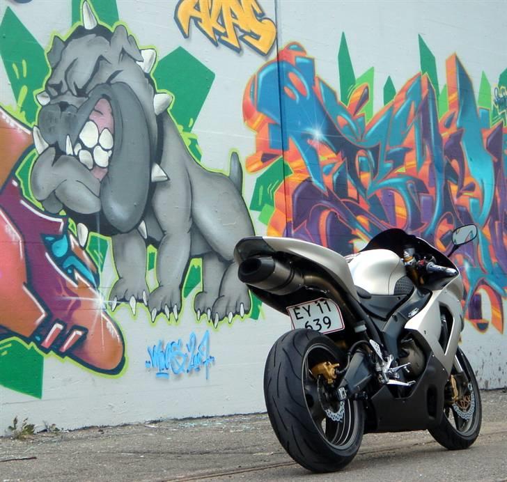 Kawasaki ZX6R 636 billede 3