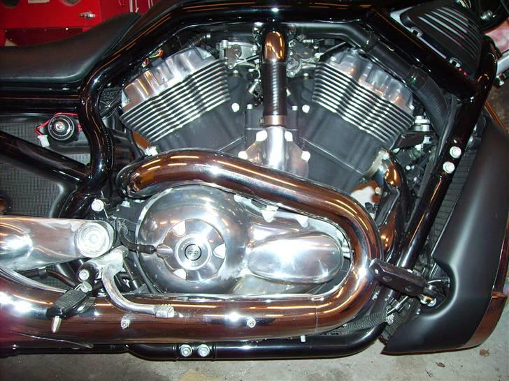 Harley Davidson Night Rod - Revolution engine billede 2