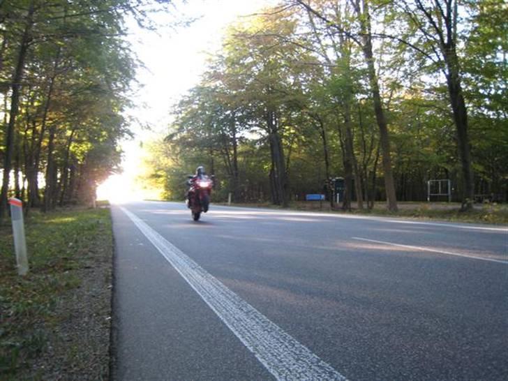 Honda  CBR900RR Fireblade billede 15