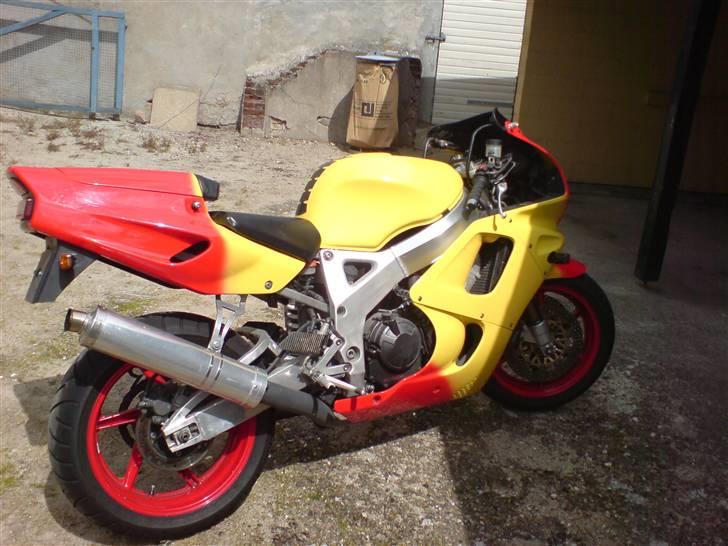 Honda Papegøjen +auferstanden+ billede 4