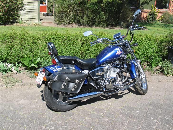 Regal Raptor DD250E-9 billede 4