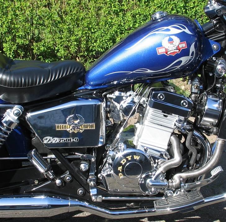 Regal Raptor DD250E-9 - Lidt gejl billede 5