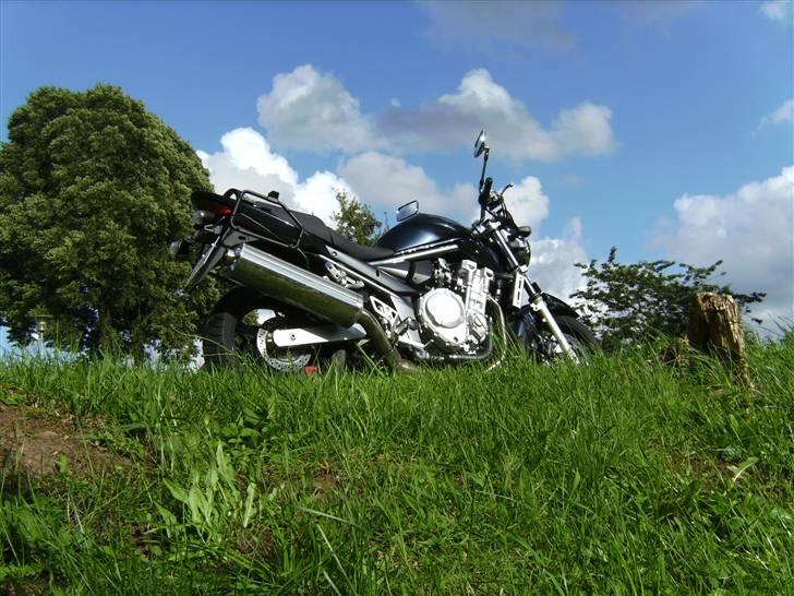 Suzuki GSF650AK7 Bandit - Ser godt ud fra enhver vinkel ;o) billede 8