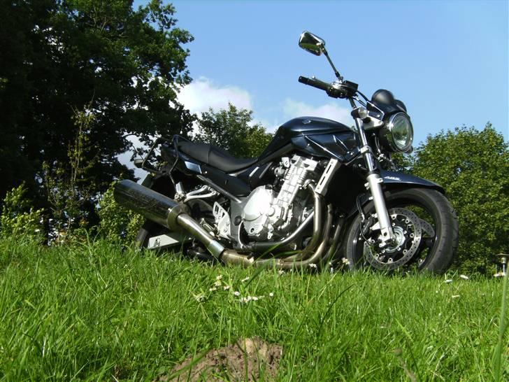 Suzuki GSF650AK7 Bandit - Den trænger vist til en vask... billede 9