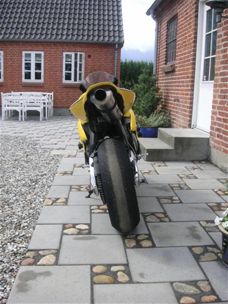 Honda CBR 1000 Fireblade billede 2