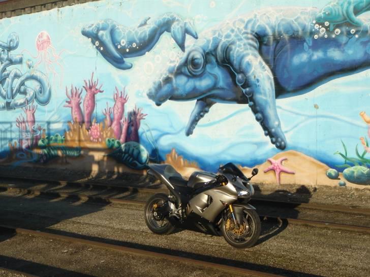 Kawasaki ZX6R 636 billede 13