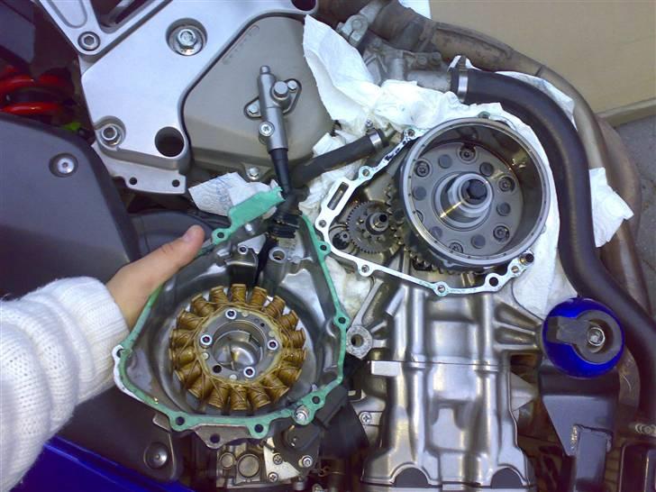 Honda CB600F Hornet *SOLGT* billede 14