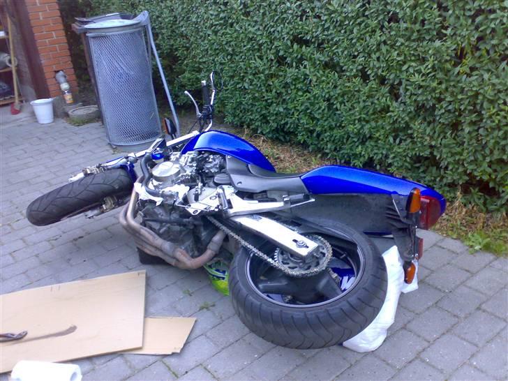 Honda CB600F Hornet *SOLGT* billede 15