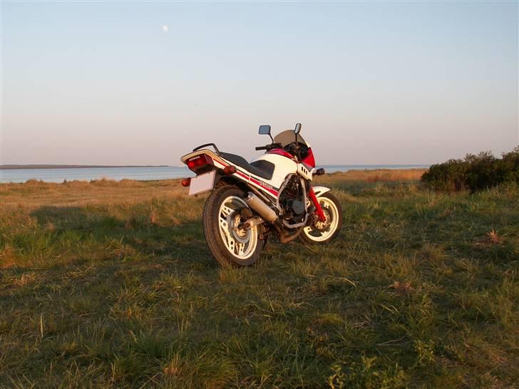 Honda VF 500 F billede 2