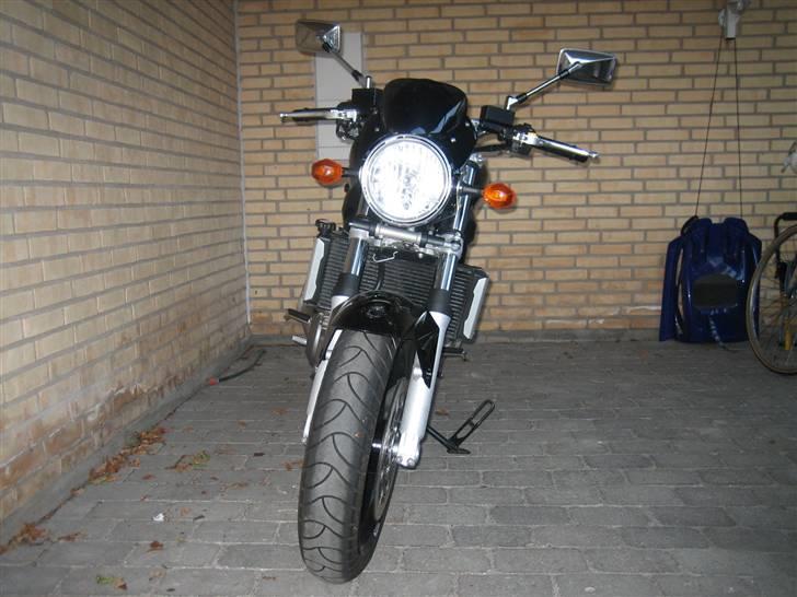 Suzuki SV 1000 billede 4
