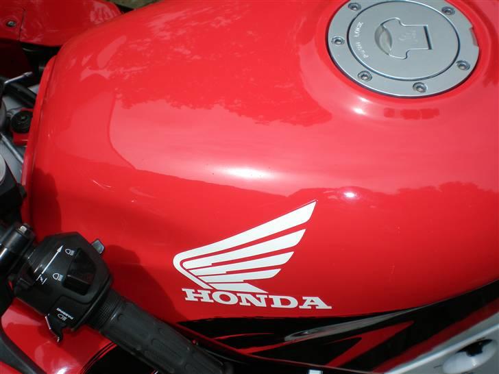 Honda CBR 600F3  - Den 11/7-07 billede 11
