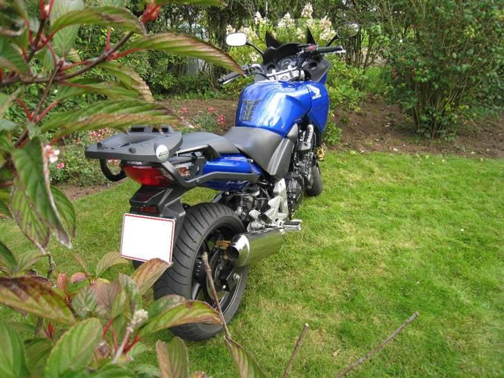 Honda CBF 600 SA [SOLGT] - Paparazzi 2 billede 8