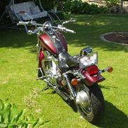 Suzuki Intruder