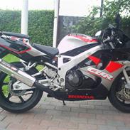 Honda cbr 900 SOLGT