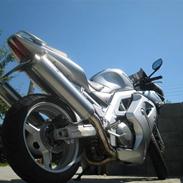 Suzuki sv1000s