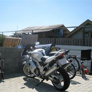 Suzuki sv1000s