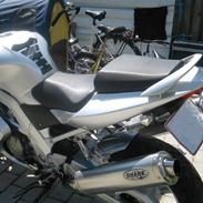 Suzuki sv1000s