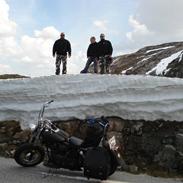 Harley Davidson FL 1200 Panhead