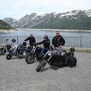 Harley Davidson FL 1200 Panhead