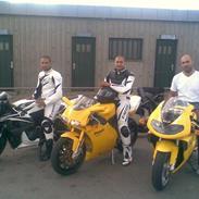 Honda Cbr 600 RR