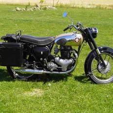 BSA A 10 Golden Flash