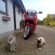 Honda VFR 750F.* SOLGT*