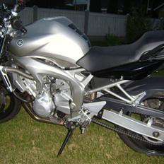 Yamaha FZ6-N
