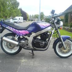 Suzuki GS 500 E slingshot SOLGT