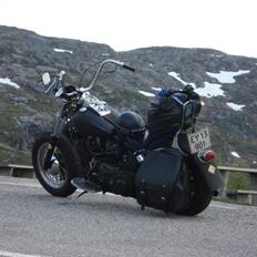 Harley Davidson FL 1200 Panhead