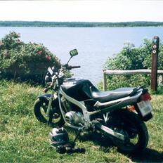 Suzuki GS 500E