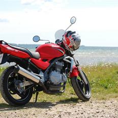 Kawasaki ER-5