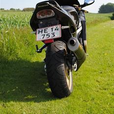 Honda cbr 1100 xx SOLGT