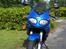 Triumph Sprint RS 955i solgt