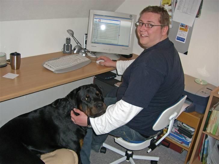 Yamaha XVS 650 (SOLGT) - Det er noget af en vagthund, hva? kælegris..... eller hund..... billede 3