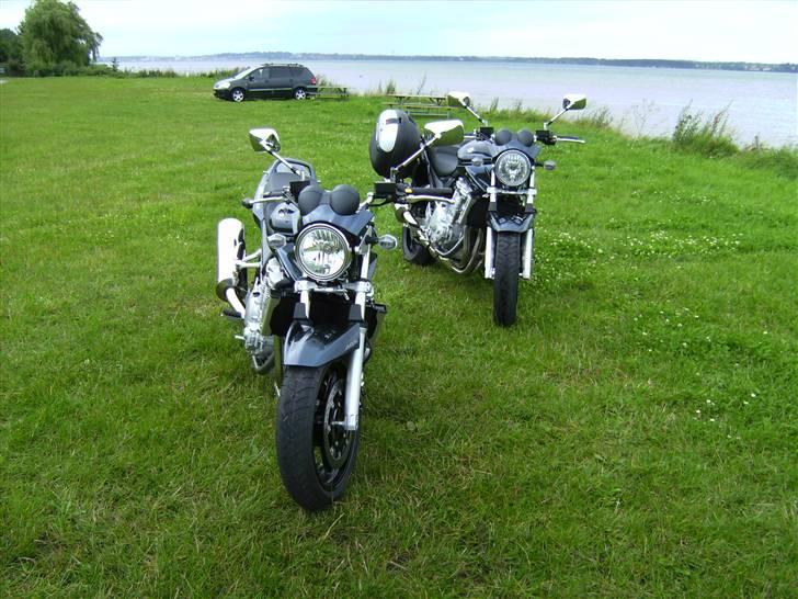 Suzuki GSF650AK7 Bandit - Two of a kind... billede 13