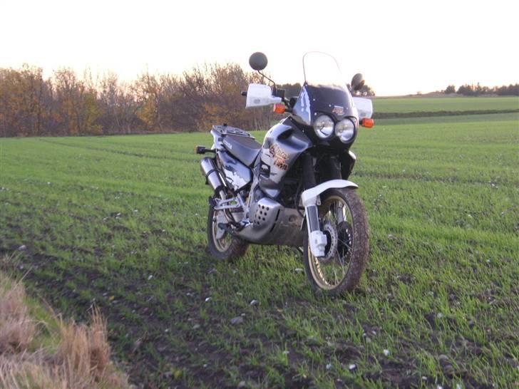 Honda XRV Africa Twin - forfra billede 1