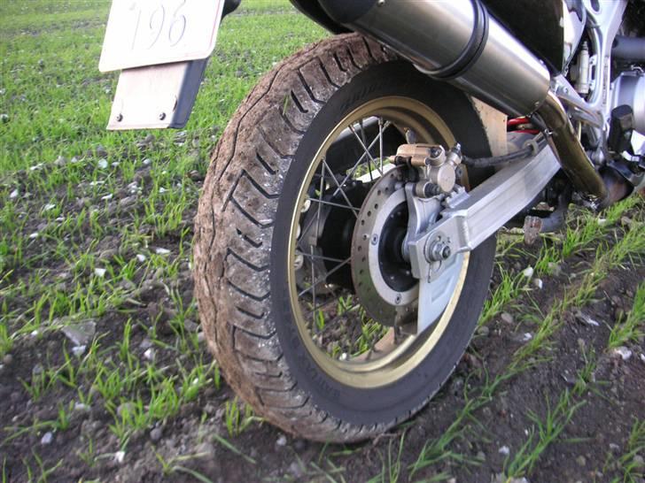 Honda XRV Africa Twin - Den nye oplagte potte fra africaner dronningerne billede 4