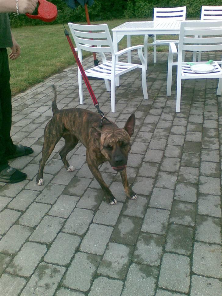 Suzuki Gsxr 600  Solgt - velkommen...! billede 9