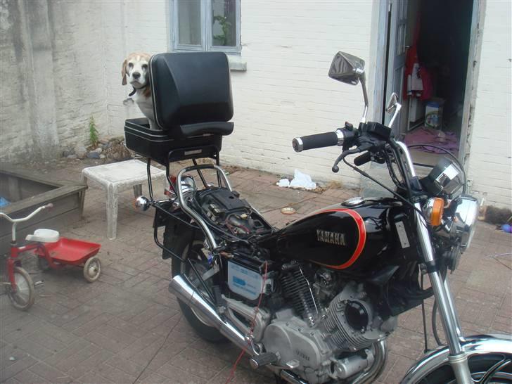 Yamaha XV 750 SE - Så er jeg klar !!!!! billede 8