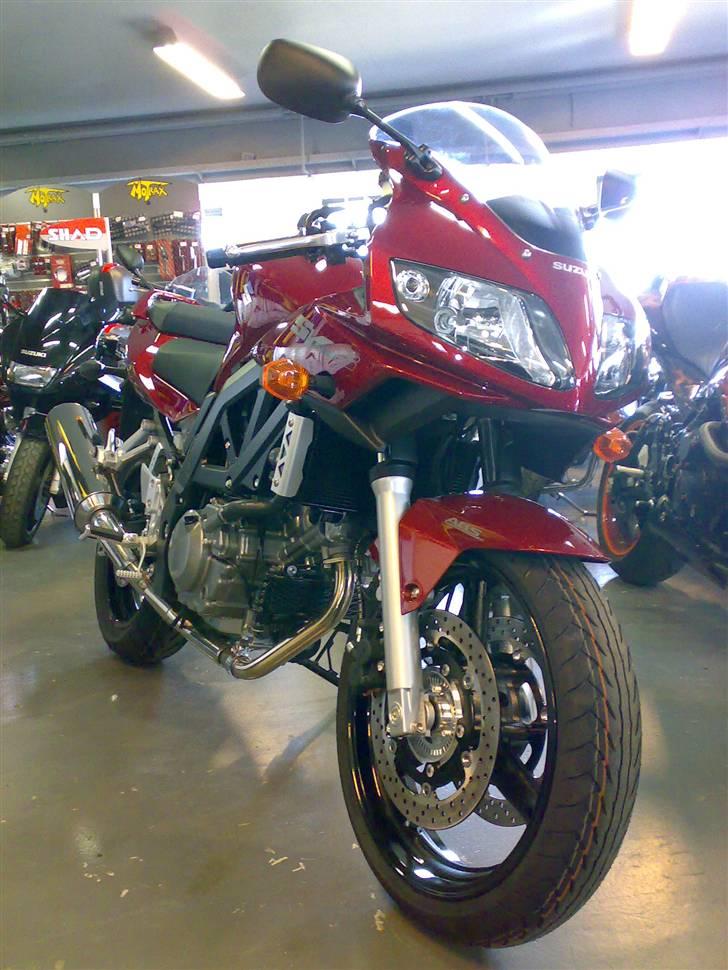 Suzuki SV 650S  billede 2