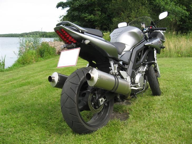 Suzuki SV 1000 SK6 billede 15