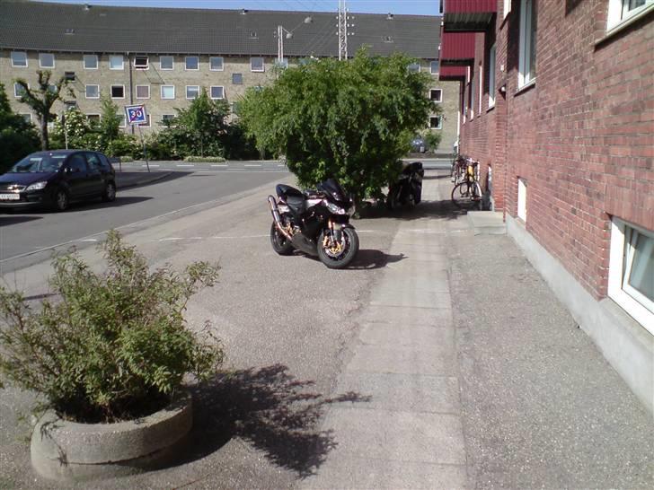 Kawasaki ZX10R - Lidt ændringer hen over vinteren... billede 5