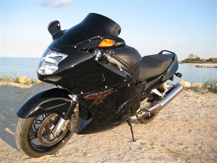 Honda Blackbird, SOLGT - Birdie på Palmestranden, maj 2008 billede 3