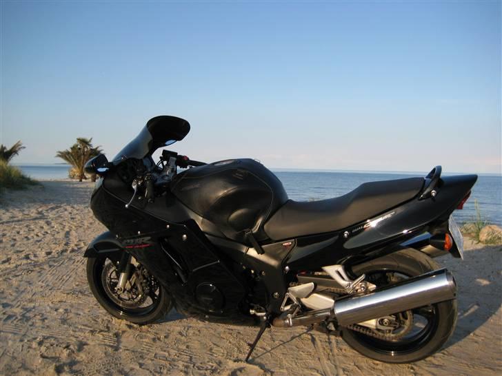 Honda Blackbird, SOLGT - Birdie på Palmestranden, maj 2008 billede 4