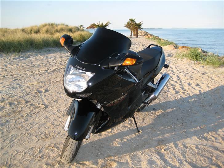 Honda Blackbird, SOLGT - Birdie på Palmestranden, maj 2008 billede 5