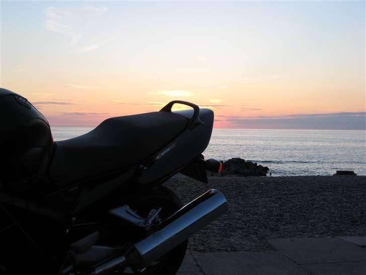 Honda Blackbird, SOLGT - XX Super Blackbird billede 8